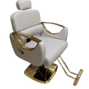 Hair Salon Falxiable Chair